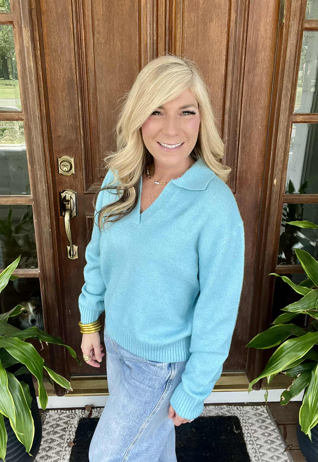 Sky Blue Collared Sweater Top