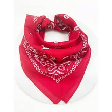 Load image into Gallery viewer, Paisley Bandana Scarf
