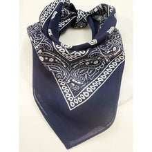 Load image into Gallery viewer, Paisley Bandana Scarf
