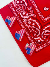 Load image into Gallery viewer, Mini 4th of July Hair Clips
